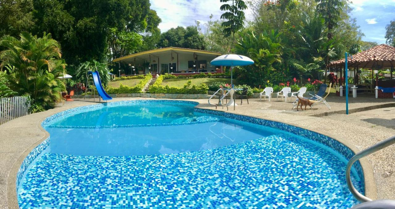 El Jardin De Los Colibries - Pereira, Risaralda Extérieur photo