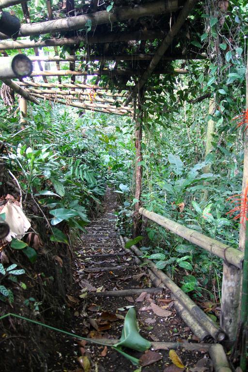 El Jardin De Los Colibries - Pereira, Risaralda Extérieur photo