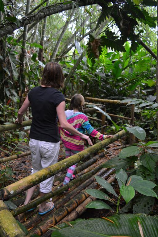 El Jardin De Los Colibries - Pereira, Risaralda Extérieur photo